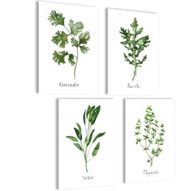 Aesthetic Kitchen Wall Pictures Spices Poster Set | Herb Pictures Collage in Watercolour Design | Spices Set Kitchen Poster Wall Collage | 4 x A4 without Picture Frame | Set Coriander Rucola Sage