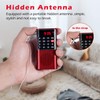 PRUNUS J-328 Mini Portable Pocket FM Radio MP3 Walkman Radio