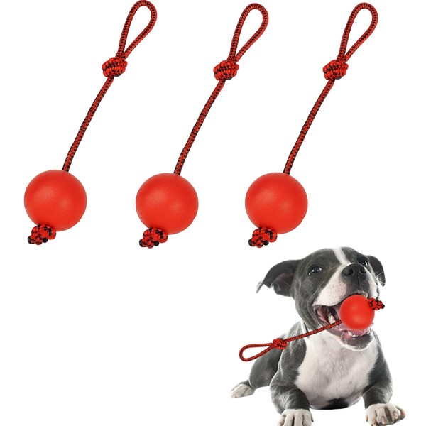 WNXBFO 3Pcs Rope Dog Toy, Ball On Rope For Dogs,
