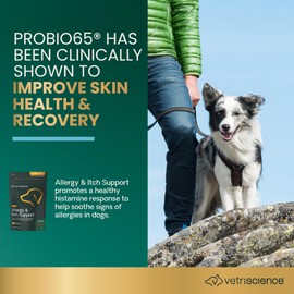 VetriScience Allergy & Itch Support Chews, Skin and Coat Supplement for Dogs, Allergy Chews for Itching, Scratching, and Licking, Support Skin and Immune Health, Duck, 75 Count