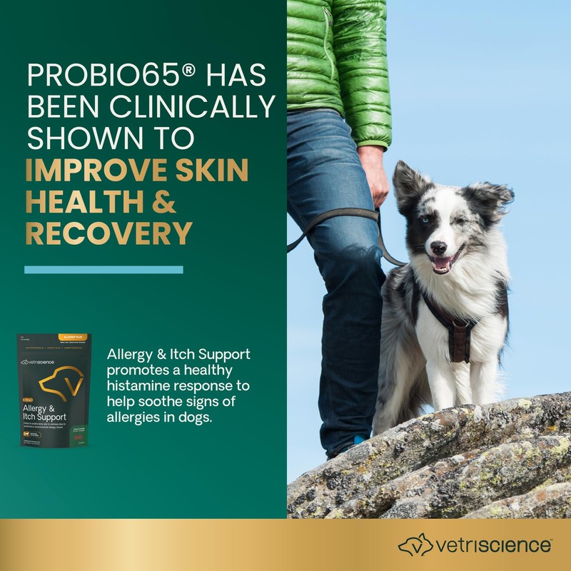 VetriScience Allergy & Itch Support Chews, Skin and Coat Supplement