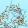 SUPVOX 100pcs Copper Nails for Killing Trees Stump Removal Spikes