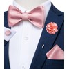 DiBanGu Pink Bow Ties for Men Satin Self-tied Bowtie Set