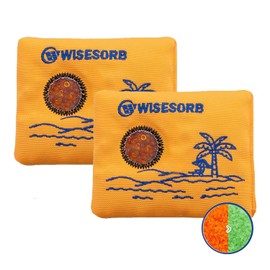 Wisesorb 100gx2pcs Rechargeable Desiccant Packs for Storage, Color Indicating Silica Gel Packets Moisture Absorbers with Visible Window, Reusable Dehumidifier Bags for Gun Safe Closet Basement Car