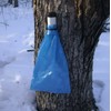 Maple Tree Tapping Replacement 5 mil Blue Sap Saks Bags