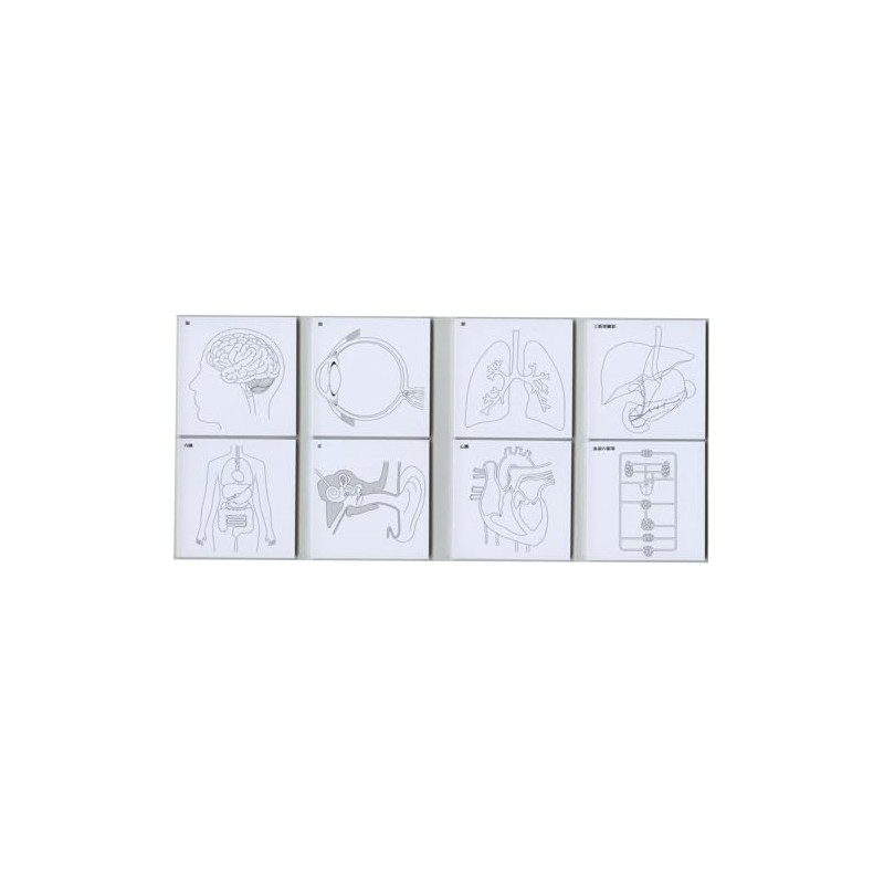Paper Seasonal Sticky Note Study Tips FS-SST003 Sticky Notes for