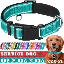TECEUM Reflective Pet Collar – Teal – S – Extra Soft Padding – Basic Nylon Dog Collar – Quick Release Buckle – Fits Small, Medium and Large Dogs, Puppies, Cats – ESA & Service Dog Options