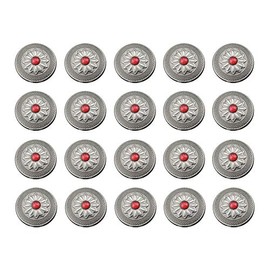 Duolai 20pcs Antique Faux Turquoise Flower Carving Craft Purses Leather Decoration Conchos Buttons Metal Stud Screw Back Rivet Retro Handmade Leather Product Accessories