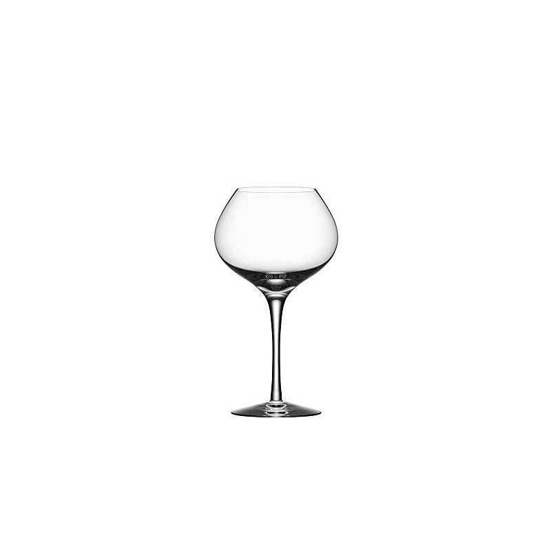 Orrefors Mature, Set of 4, Clear