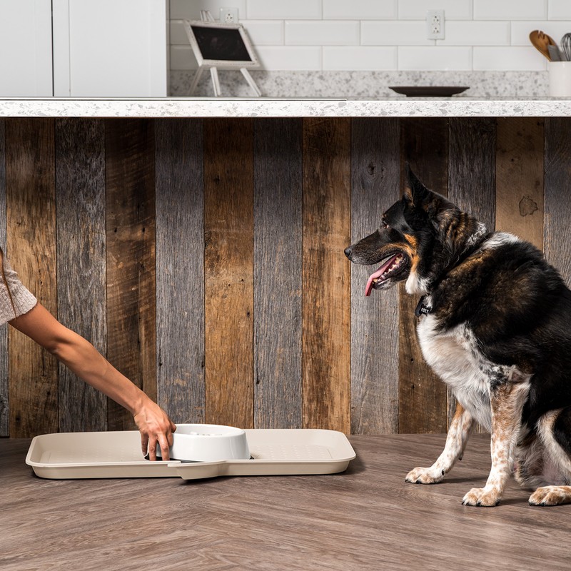 IRIS USA Waterproof Dog Food Mat, Sturdy Plastic, 28"x 14.5"