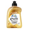 Earth Choice Lemongrass and Ginger Concentrate Dishwashing Liquid 500 ml