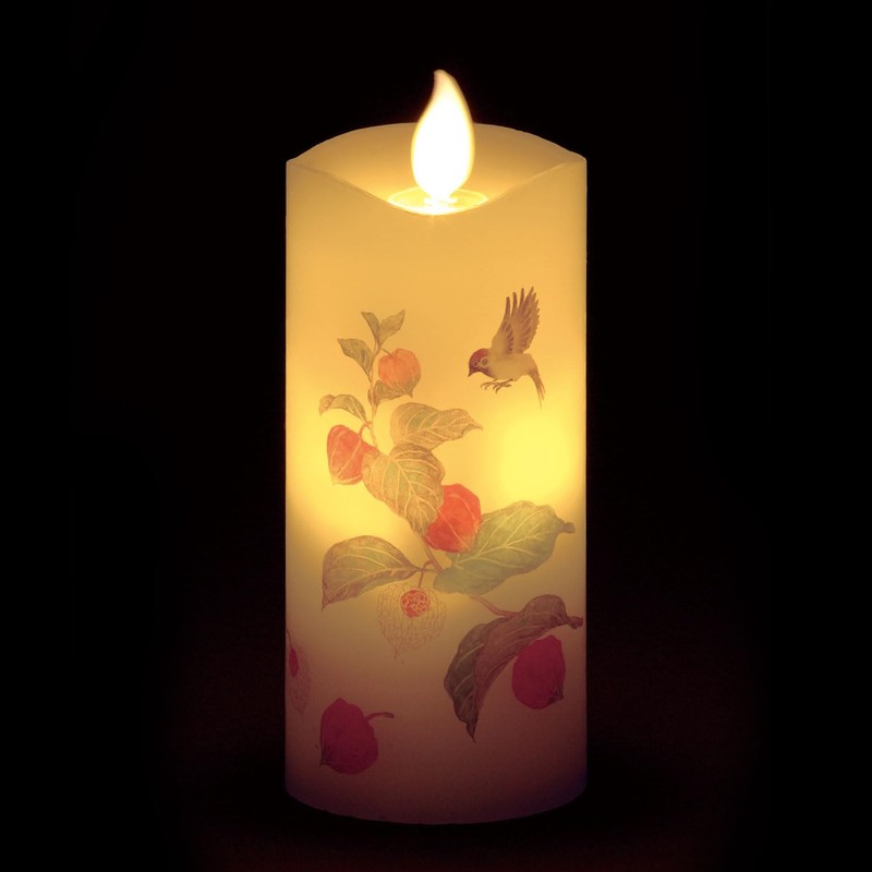 Kameyama S7687-00-10 Iroha Akari Small-Size Small Small Size