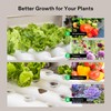 VIVOSUN Hydroponic Grow Kit, 1 Layer 36 Plant Sites 4