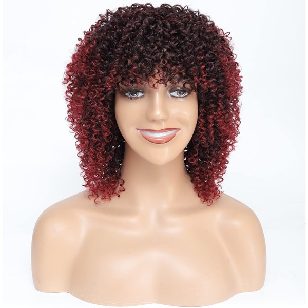Afro Wig Short Kinky Curly Wig, Curly Short Wigs for Black Women Curly Afro Wigs for Black Women Kinky Curly Wigs for Black Women (T-Bug)