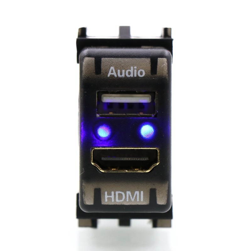 USB Input Port & HDMI Input Port Audio Parts Switch