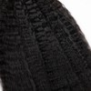 Kinky Straight Human Hair for Boho Braids - Wet and