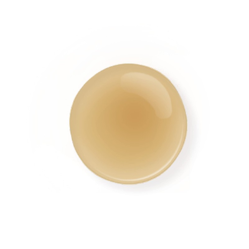 Fortifiant Shampooing 380 ml