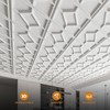 WOWSTAR 12-Pack 24"x24" Drop Ceiling Tiles, 3D Decorative Glue Up
