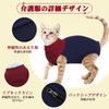 IECOii Cat Postoperative Clothes with Zipper, Cat Clothing, Licking Prevention,