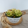 GiftHow Large Green Artificial Artichokes Fruits - Fake Fruits and