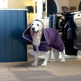 Lucky Paws® UK Dog Drying Coat - Luxurious Double Layer Dog Towel Robe - Dry Your Dogs in Minutes - Ultra Absorbent Drying Robe & Super Soft Dressing Gown (M, Aubergine)