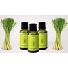 ACEITE ESENCIAL LEMONGRASS PURO 30ML