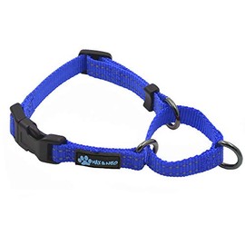Max and Neo Nylon Martingale Collar - We Donate a Collar to a Dog Rescue for Every Collar Sold (X-Small, Blue)