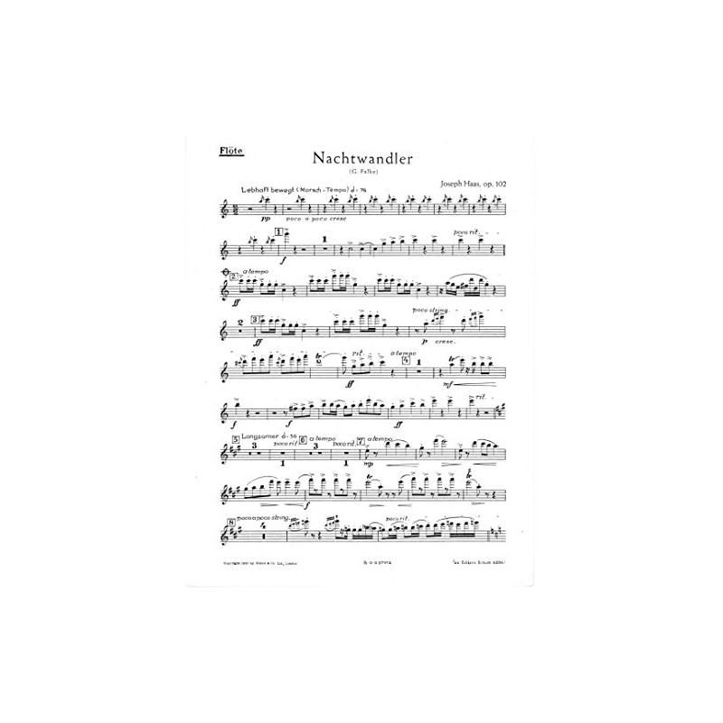 Nachtwandler: Serenade "Trommler, lass dein Kalbfell klingen". op. 102. men's