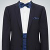 Paisley Cummerbund and Bow Tie Set Adjustable Formal Men's Cumberbund