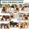 Dog Bowl for Cats and Small Dogs - All-Natural, Polished