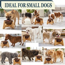 Dog Bowl for Cats and Small Dogs - All-Natural, Polished Coconut Shell Bowl with Wood Stand - Elevated/Raised 5-inch Total Height - Food-Contact Suitable