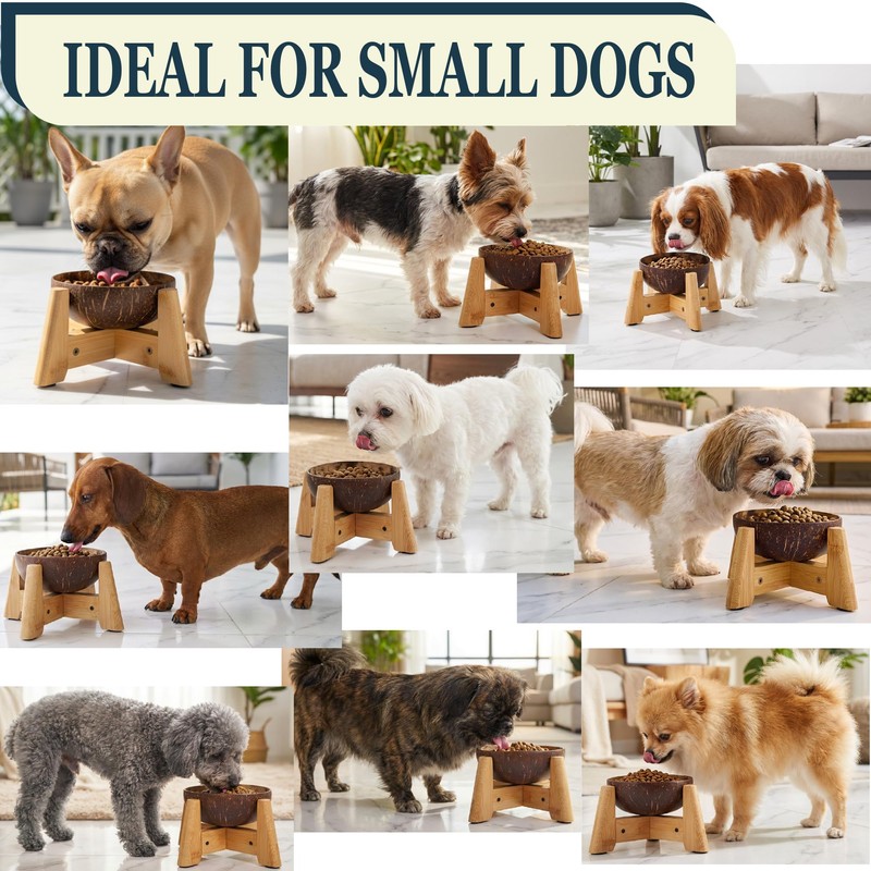 Dog Bowl for Cats and Small Dogs - All-Natural, Polished