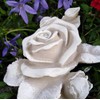 XL Rose with Stem Rose Flower Also Grave Decoration Grave