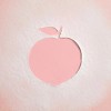 Skinfood Peach Cotton Multi Finish Powder 5g