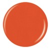 China Glaze Nail Polish, Coral Star 007