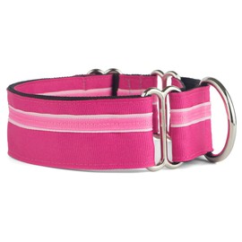 If It Barks - 1.5" Martingale Collar for Dogs - Adjustable - Nylon - Strong and Comfy - Ideal for Training - Made in USA - Small, Bubble Gum