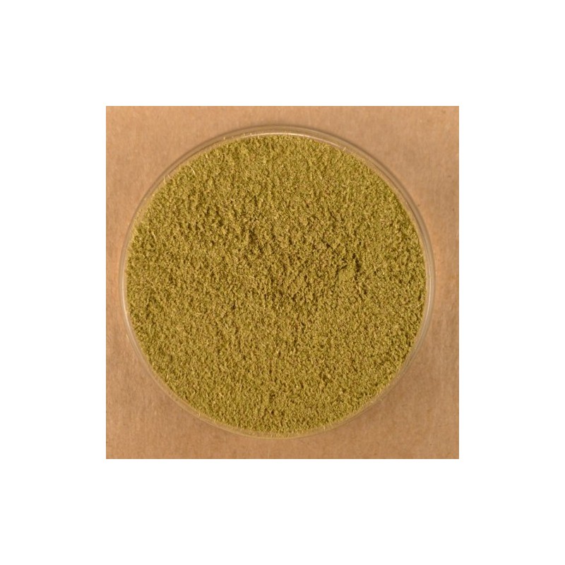 Savory, Ground - 3.5 oz Stovetop Shaker Jar