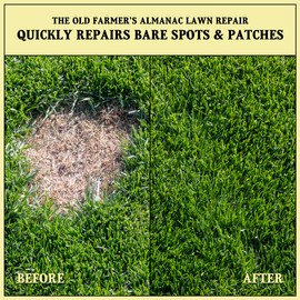 The Old Farmer's Almanac Lawn Repair - Premium Grass Seed & Compost Blend (5 Pounds - Covers Up to 500 Sq Ft)