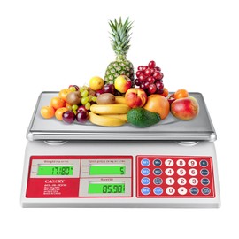 CAMRY Digital Price Computing Scale 66lb/30kg Commercial Produce Scale with Stainless Steel Platform and Green Backlight LCD Display for Meat, Fruit, Ideal for Deli, Farmers Markets, Restaurants