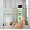 J.R. Watkins Daily Hydration Shampoo, Aloe & Green Tea -