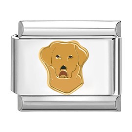 Quiges - 9mm Italian Style Charm Link Module Stainless Steel Golden retriever dog for Italian Style Bracelets