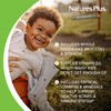 NaturesPlus Animal Parade Children's Chewable Multivitamin - 180 Animal-Shaped Tablets