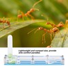 Acrylic Ant Breeding House Nest Formicarium Display Box with Water