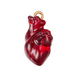 COGCHARGER 10 Pcs Dark Red Anatomical Heart Charms Gothic Heart Resin Charms with with Golden Iron Loops for Earring Necklace Bracelet DIY Jewelry Making