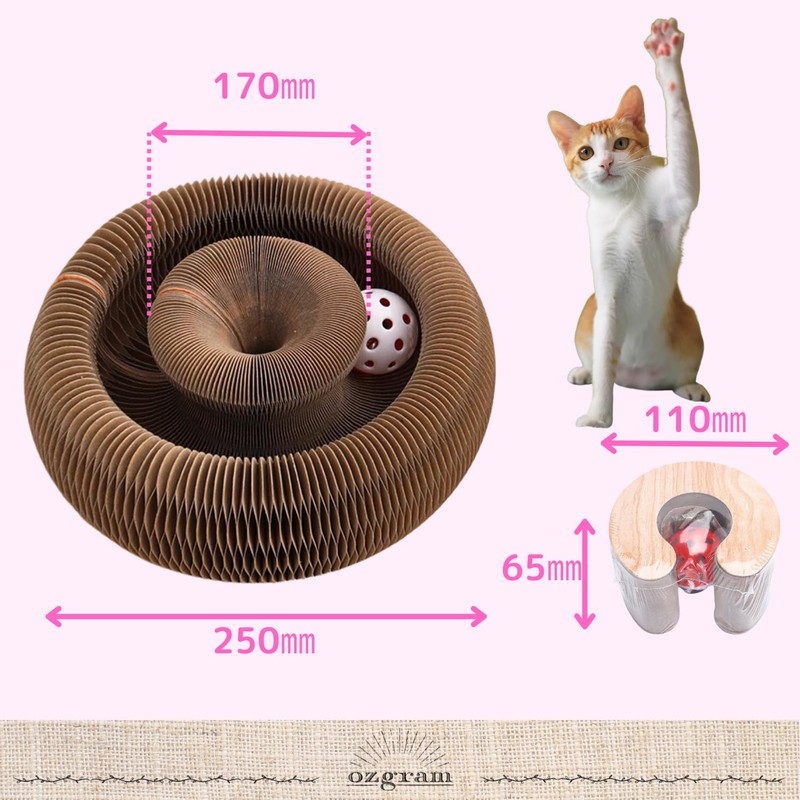 ozgram Play & Scratch Transform Magic Organ, Accordion, Cat Toy,