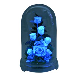 Art Four Seasons ○ Rose Eye "Glowing Rose" Firefly Pink Blue Luminous Preserved Flower