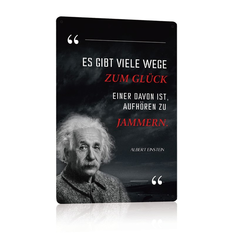 Set of 5 Metal Signs Albert Einstein Sayings Retro Sign