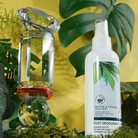 [SS62] Foot odor tea tree leaf power generation foot 200ml / [에스에스62]발냄새 티트리잎 발전용 풋 풋 200ml