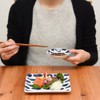 Natural69 Cocomarine x Janke [Bean Plate] White Whale