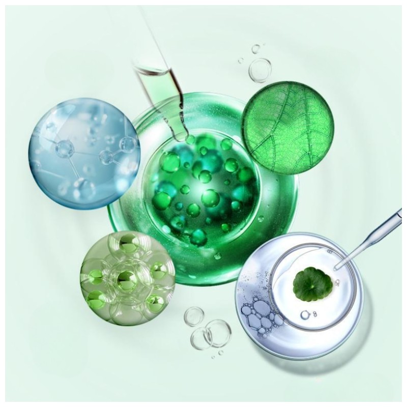 BIO HEAL BOH Panthecell Repair Cica Cream 50ml*2ea